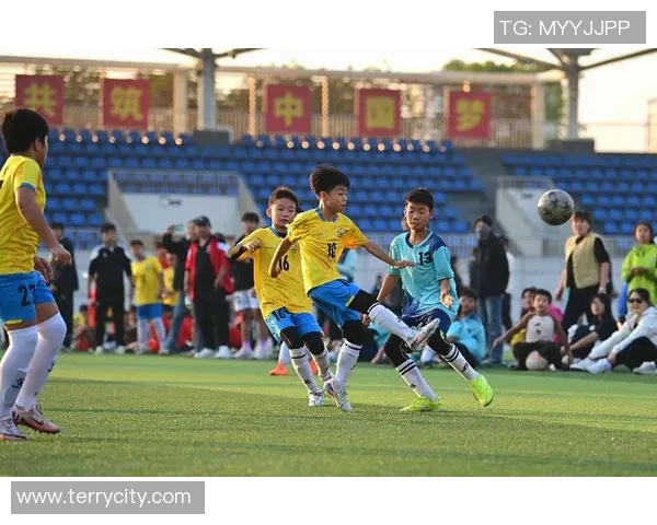 追逐梦想的绿茵场我心中的足球明星之路